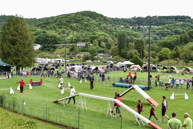 concours agility 29/05/2016