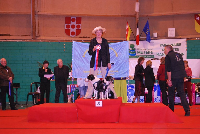 OURNÉE TRAVAUX DES 13 & 14 NOVEMBRE 2010