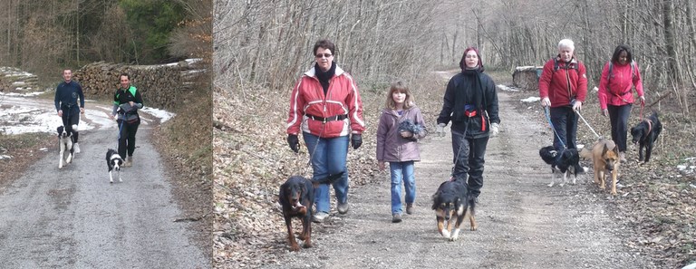 JOURNÉE CANI-CROSS ET CANI-MARCHE DU 3 MARS 2013
