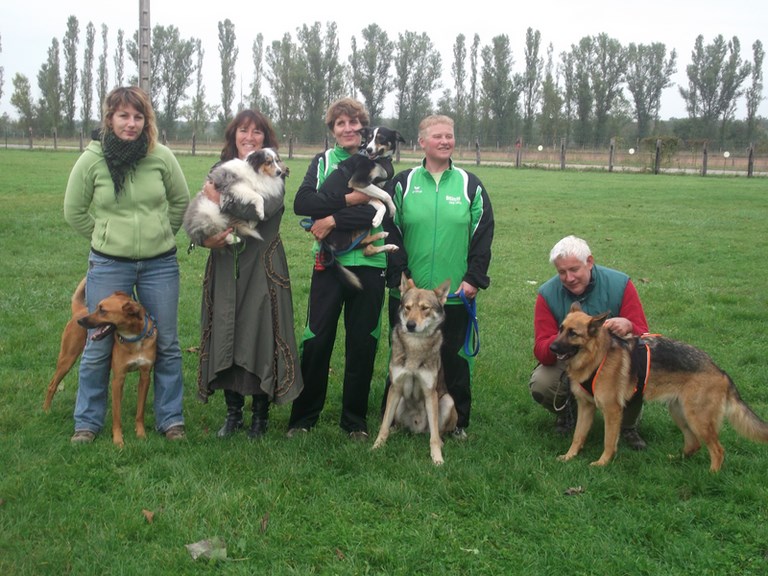 NOS NOUVEAUX CHIENS VISITEURS