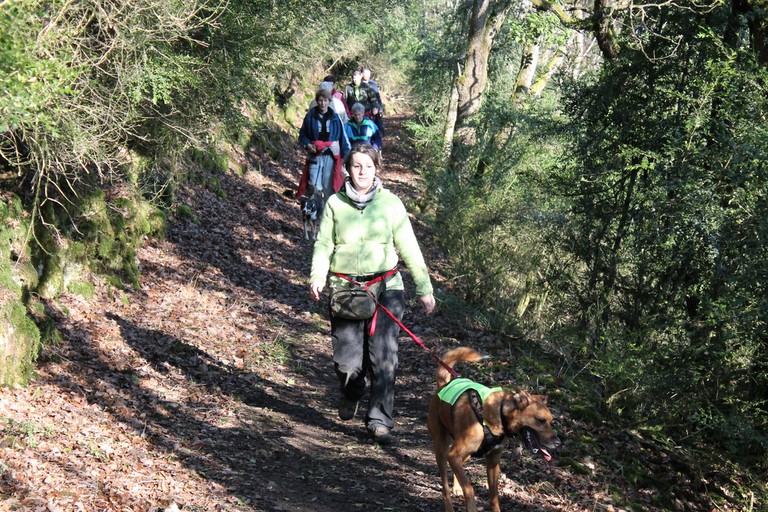 ET C'EST REPARTI POUR LES JOURNÉES CROSS-CANIN !!