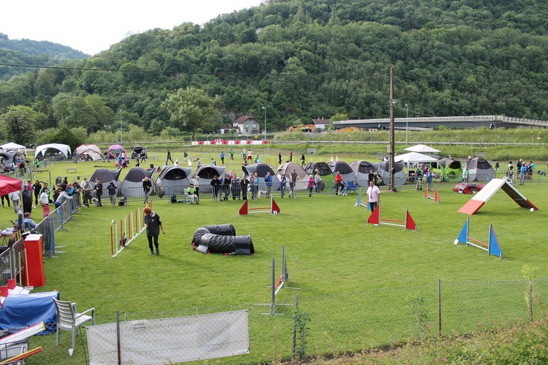 Concours Agility du 31 mai 2015