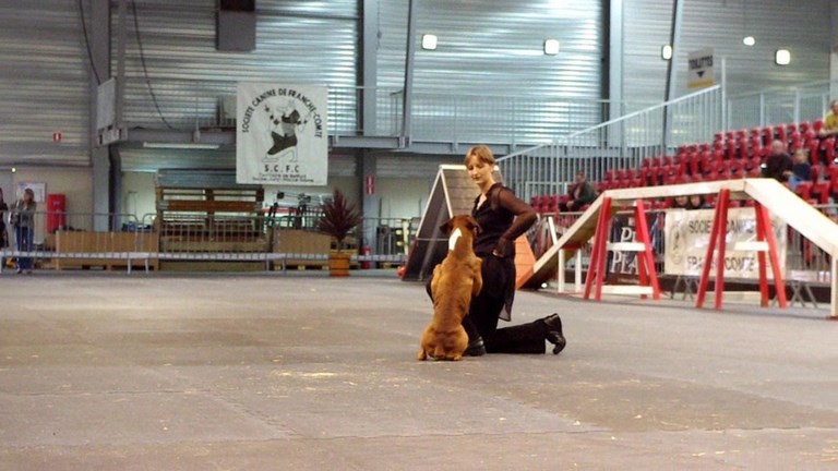 LE 8 MAI À LA FOIRE COMTOISE À BESANÇON :