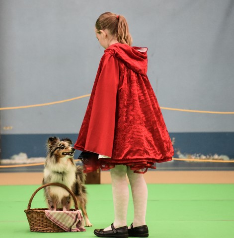 concours obérythmée 28/05/2016