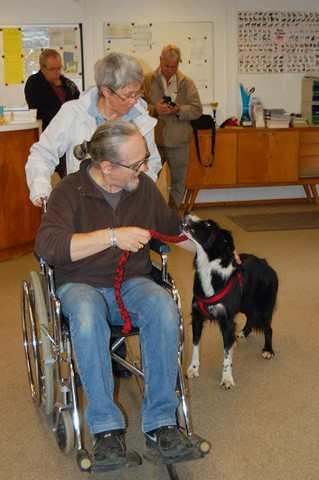 ET 3 CHIENS VISITEURS DE PLUS !!!