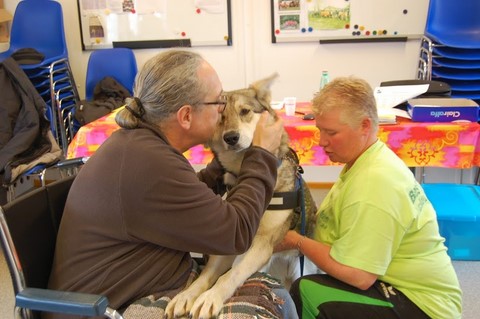 ET 3 CHIENS VISITEURS DE PLUS !!!