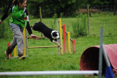 SÉLECTIF GRAND EST DU TROPHÉE PAR EQUIPE EN AGILITY