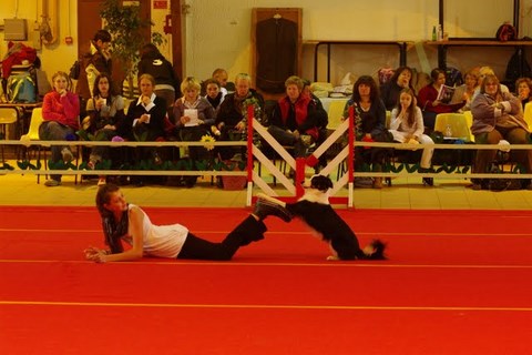 GRAND PRIX DE FRANCE D'OBÉRYTHMÉE