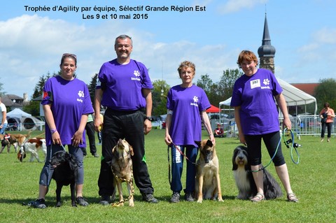 SÉLECTIF GRAND EST DU TROPHÉE PAR EQUIPE EN AGILITY
