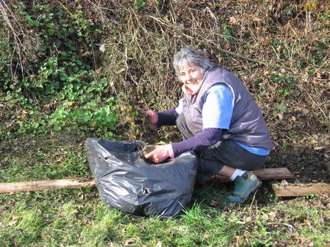 OURNÉE TRAVAUX DES 13 & 14 NOVEMBRE 2010