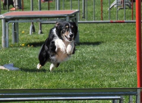 CHAMPIONNAT DE FRANCHE-COMTÉ LE 14 AVRIL 2013